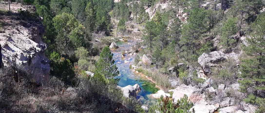 Parque Natural del Alto Tajo, Asdon Aventura - Turismo sostenible