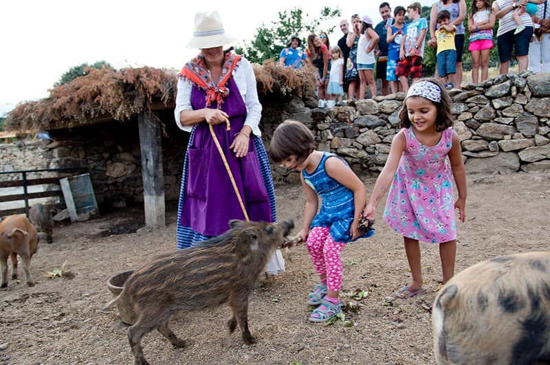 Granja Tetralizada