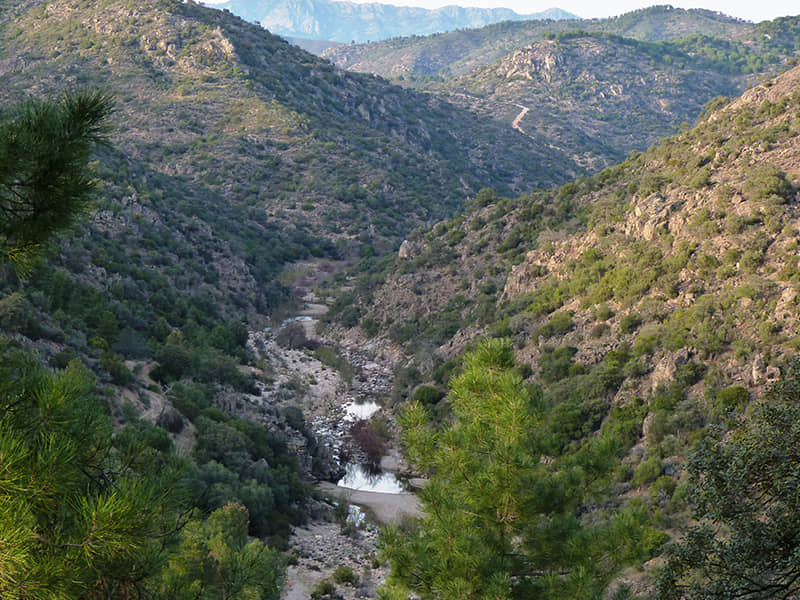 Parque Natural de la Sierra de Cardeña y Montoro